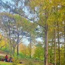 금강수목원(아) 이미지