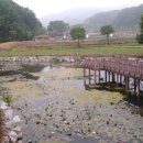 증평2리 이미지