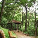 그늘막17 이미지