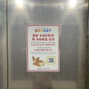도그베이 동탄호수공원점 | 동탄 애견호텔, 미용, 애견유치원까지 다 갖춘 도그베이동탄호수공원점 좋은데?