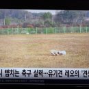 임실군청(농업축산과) 네이버블로그