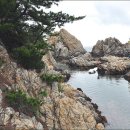 감나무식당 이미지