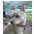 쌀라네 집 이미지