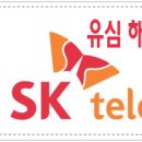 (공유) &#34;불법복제 피해 보상받으려면 유심보호서비스 가입 필수&#34; [SKT 유심교체 혼란] 이미지