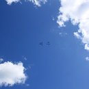 헤이, 서귀포 | 제주도 4만원대 가성비 숙소, 헤이 서귀포 호텔 내돈내산 후기