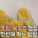 백종원 콘치즈 만드는 법 초당옥수수로 만드는 두 가지 레시피 이미지