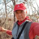 매봉휴게소 이미지