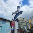 연안부두로33번길 이미지