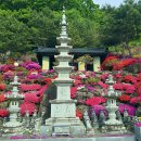 금강사 - 관악구 봉천로 218 | 금강사