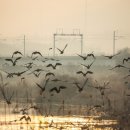 화포천농촌체험마을 이미지