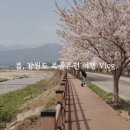 복골순두부 이미지