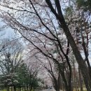 방아다리근린공원 네이버블로그