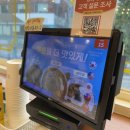 백소정 경희대점 | 백소정 경희대점 솔직 후기 🍜 기본에 충실한 마제소바 맛집!