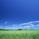푸른하늘 이미지