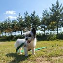 스포츠파크 해안도로 이미지