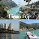 맛있는떡볶이(HiYA)히야 | [부산 여행] 부산 2박3일 여행 코스 (이재모피자, 해운대요트투어, 해동용궁사, 청사포, 태종대 유람선...