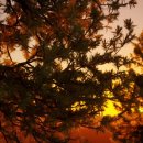 아름기획 이미지