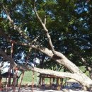 내룡보건진료소 이미지