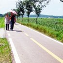 시흥농장 이미지