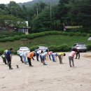 당진 송산초 어린이들과 함께 한 [신나는숲길여행]-7월 7일 이미지