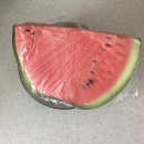 꽃고을광희 | 夏 01