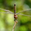 익산골프아카데미 | 전라북도 익산시 GDR 로열골프아카데미, 영업시간, 주차, 후기