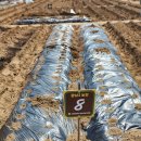 광남2동-2 이미지