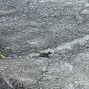 깊은산계곡산장 이미지