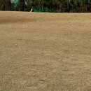 빛고을골프장 이미지