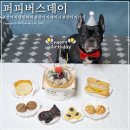 퍼피버스데이 이미지