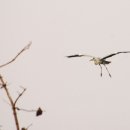 신북초교 이미지