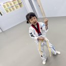 NBT 하이라이트 태권도장 이미지