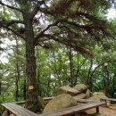 상촌 체육공원 이미지