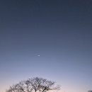 공간의 의미21 | 도모헌 미디어파사드 2월 21일방문후기