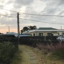 애월별땅 이미지