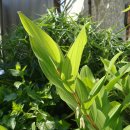 동녘농장 이미지