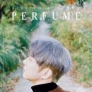 봄 설레임 콘서트 이미지