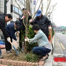 돈화문로 이미지