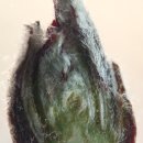 경상남도 사과이용연구소 이미지