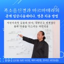 체형교정경락마사지 Daum카페
