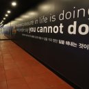 신세대이용타운 네이버블로그