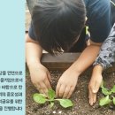 건강한농부사회적협동조합 이미지