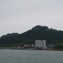진숙목장 Daum카페