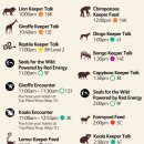 고릴라 짐, NOW | [호주] (방문 전) 호주 동물원 정보 수집