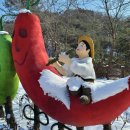 행정사사무소 본 이미지