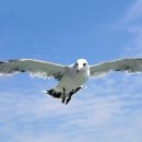 (주) 디자인주스 이미지