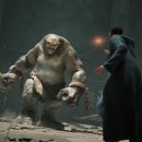 Dog.(독점) 이미지