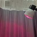 안순길한의원 이미지