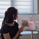 낭만고양이 판교점 | 내돈내산 판교 케이크 맛집 추천 | 카페하이웨스트 현대백화점 (가성비 생일케이크)