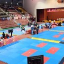 경희대 라이온스 태권도장 이미지